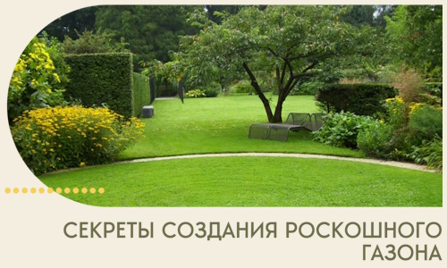 Секреты создания роскошного газона в Ялуторовске