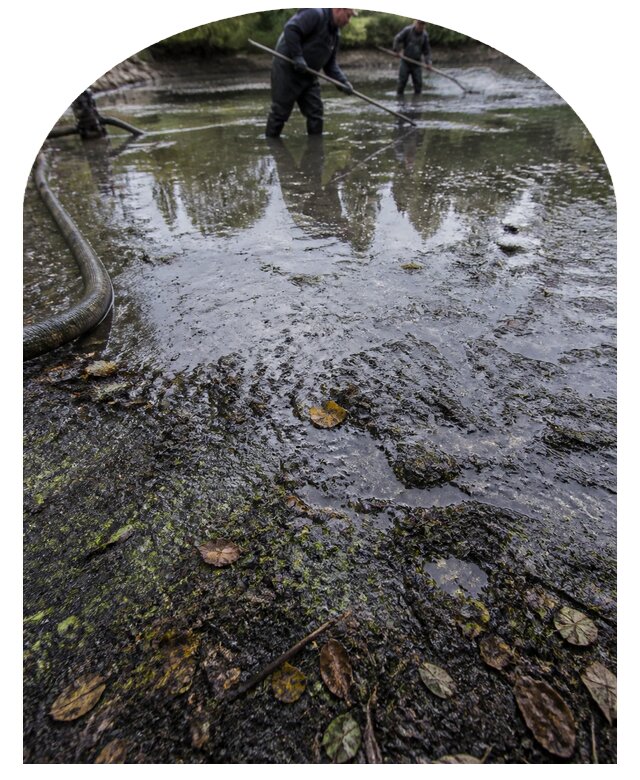 Очистка пруда в Ялуторовске от ила мусора и водорослей с вывозом